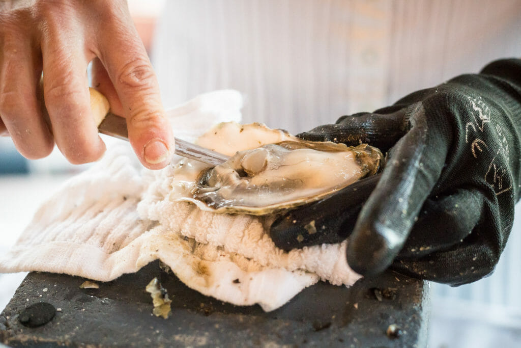 BC Ale Trail - Osoyoos Oyster Festival