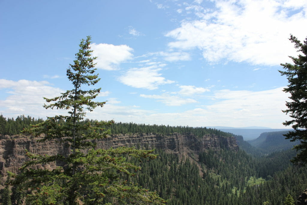 image of Chasm, BC canyon covered in trees