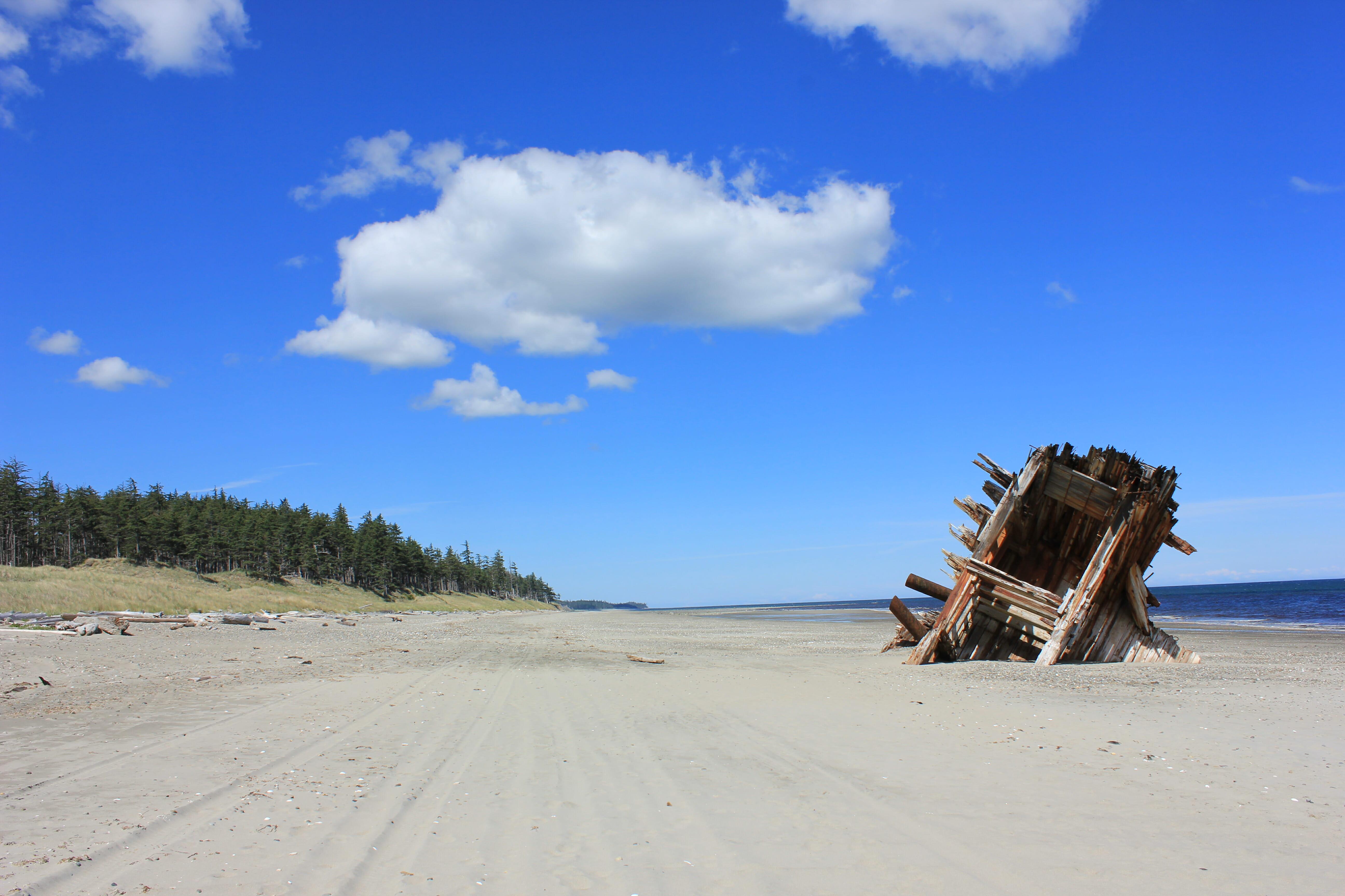 image of wooden hull of ship on beach, Pesuta Trail, Haida Gwaii