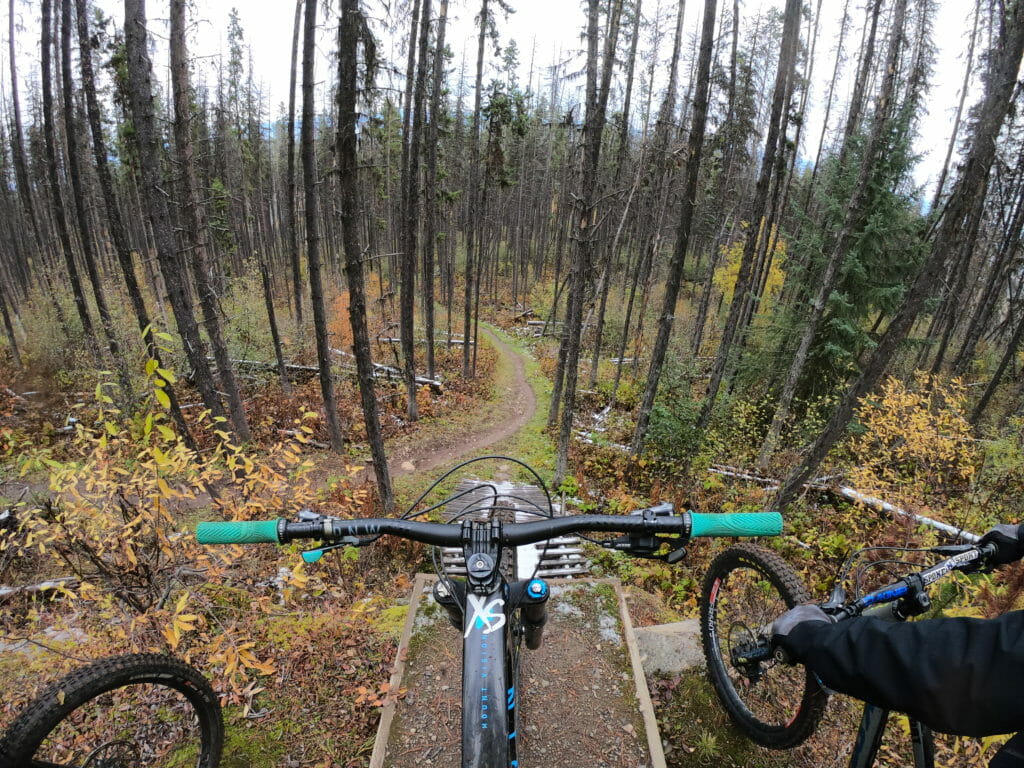 image of mountain bike among trees on trail in Smithers, BC