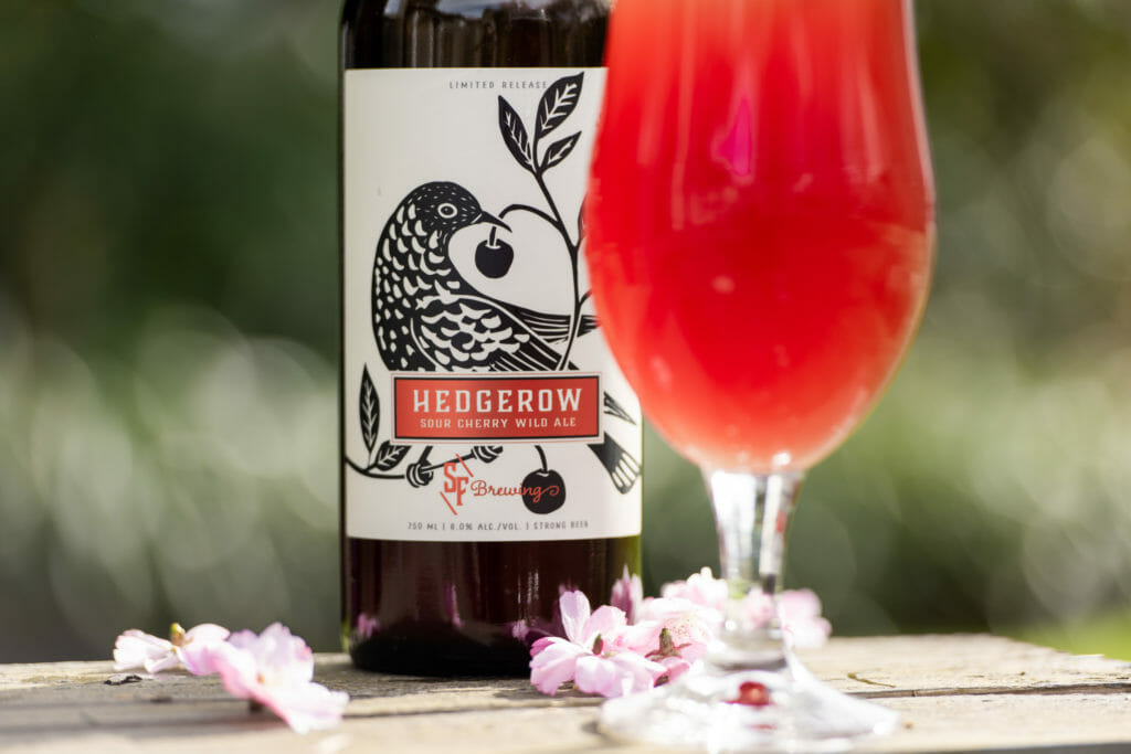 cherry blossoms on a table with Strange Fellows Brewing's Hedgerow Sour Cherry Wild Ale bottle and spring beer in glass