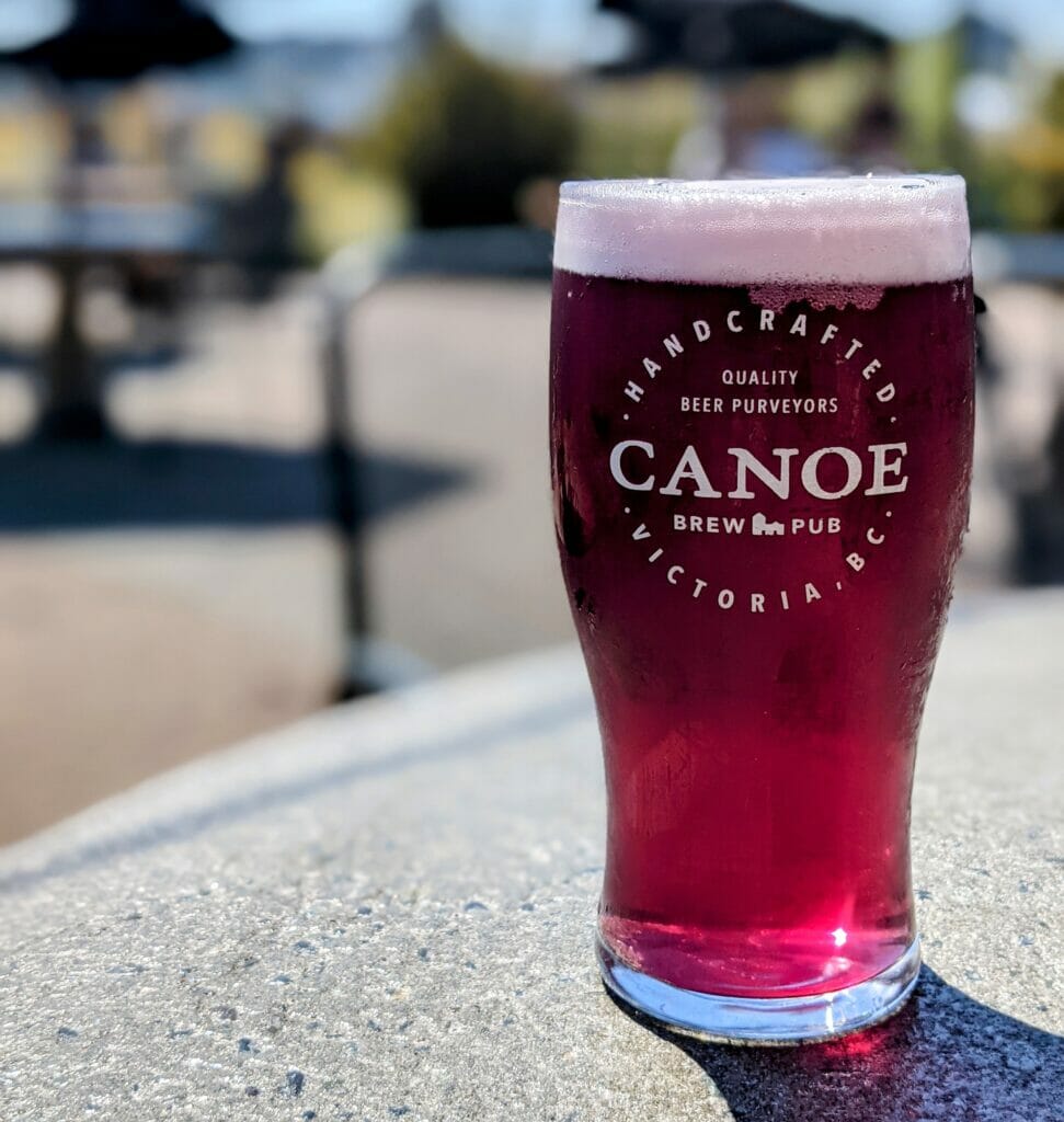 Blueberry Sour - submitted - Canoe Brewpub