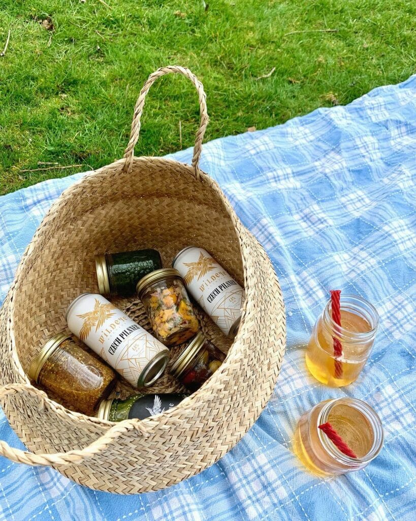 wildeye-picnic
