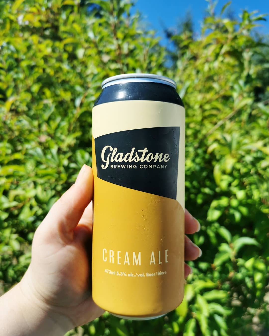 gladstone-cream-ale